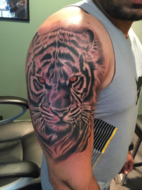 tiger-animal-wild-tattoo