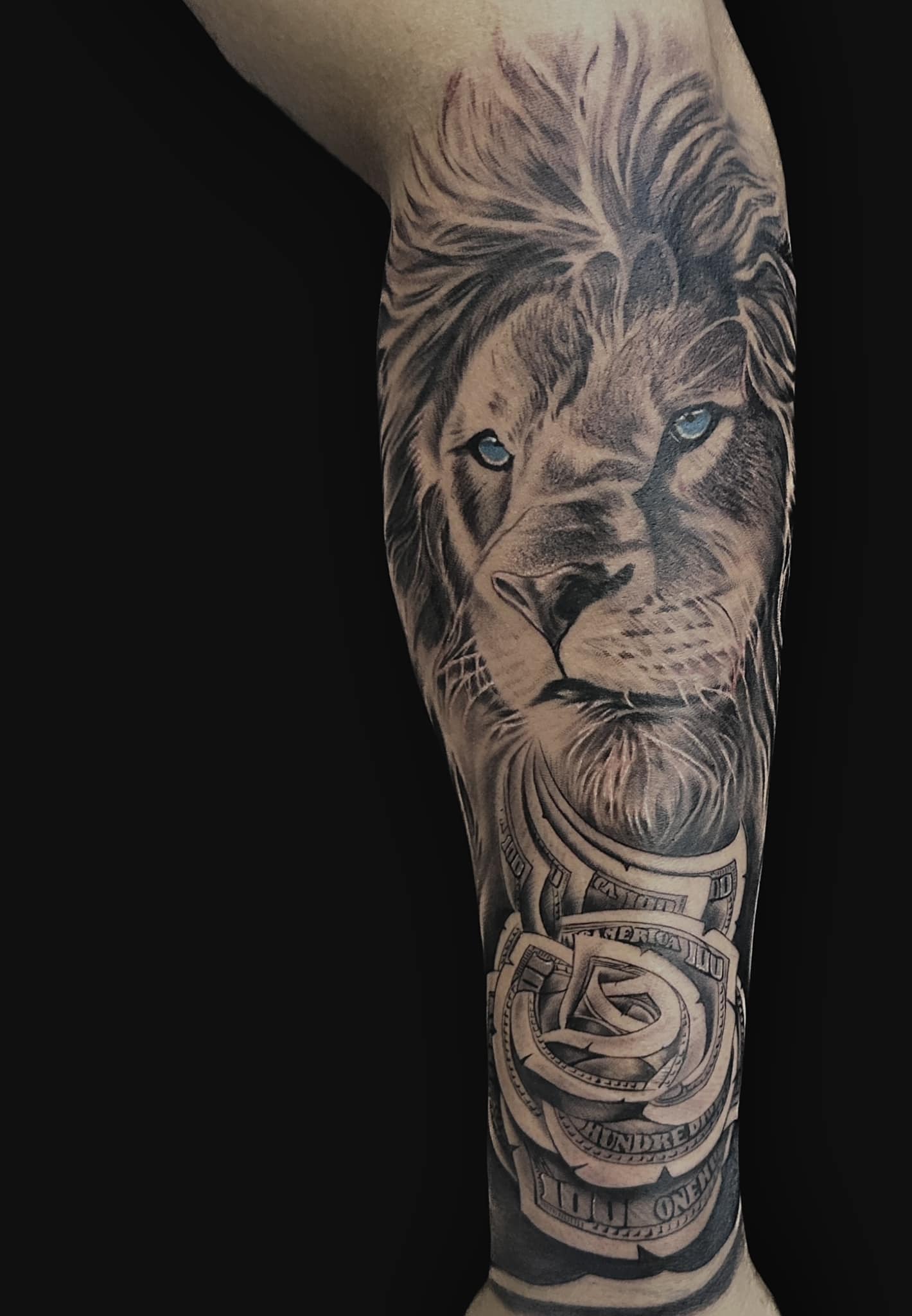 lion money realistic tattoo by gargoyle tattoo studio